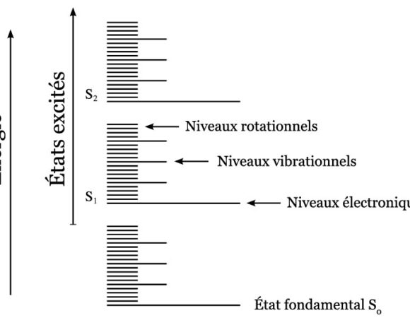 Énergie électronique