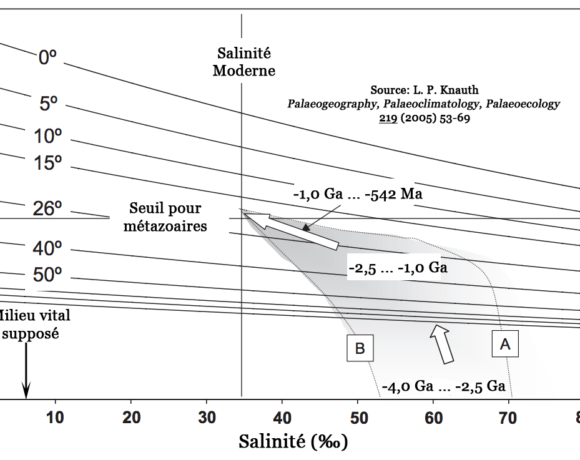 Salinité océanique