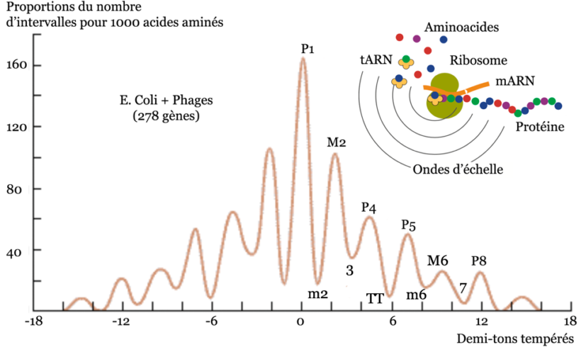 Protéodies Protéodies