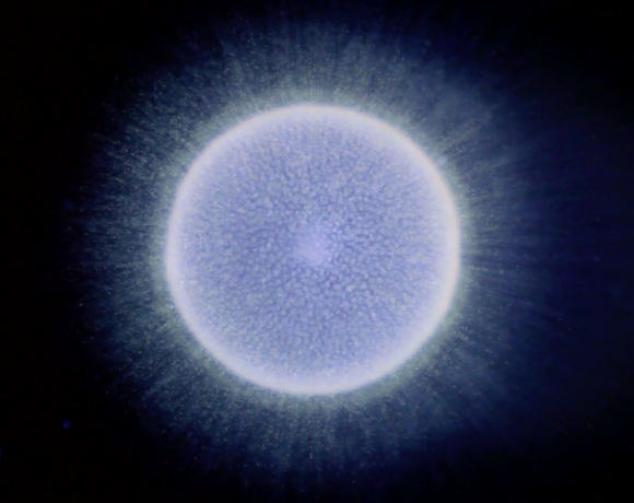 La Physique Quantique