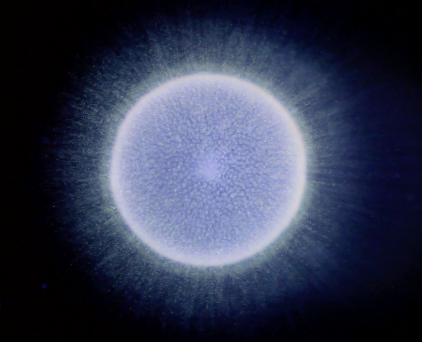 La Physique Quantique