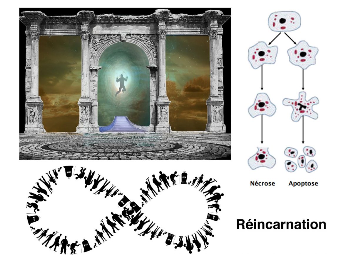 15•La Vie ou la Mort? 15•La Vie ou la Mort?