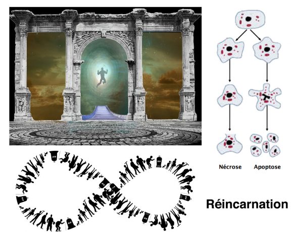 15•La Vie ou la Mort? 15•La Vie ou la Mort?