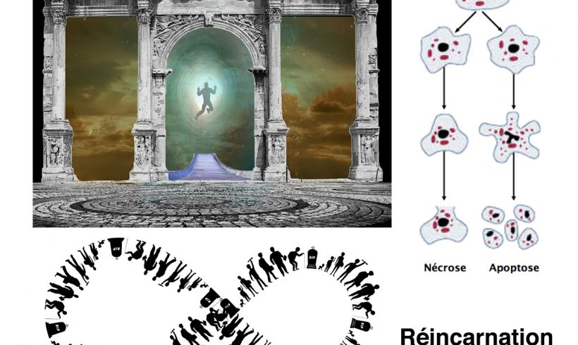 15•La Vie ou la Mort?