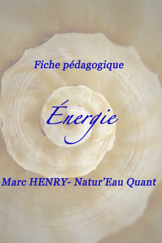 Fiche pédagogique : "l'Energie"