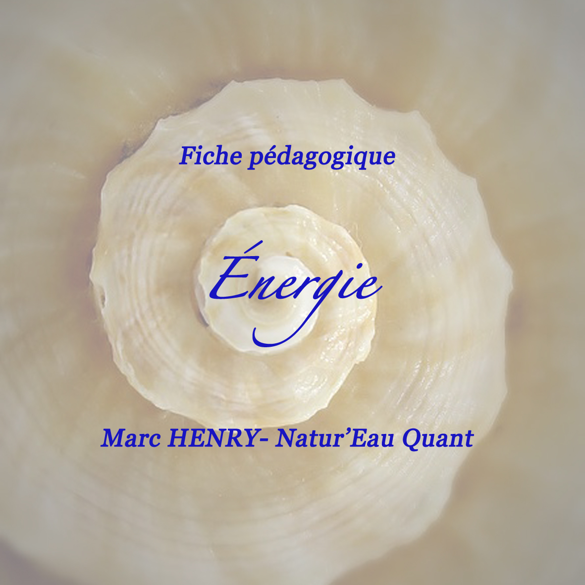 Fiche pédagogique : "l'Energie" Fiche pédagogique : "l'Energie"