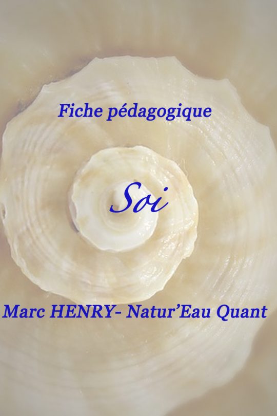Fiche pédagogique sur le Soi