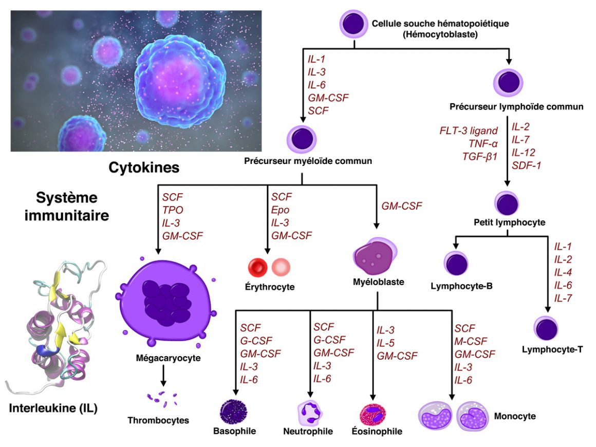14•Affolement et branle-bas de combat 14•Affolement et branle-bas de combat