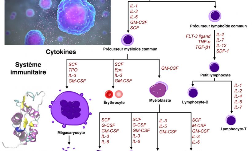 14•Affolement et branle-bas de combat 14•Affolement et branle-bas de combat