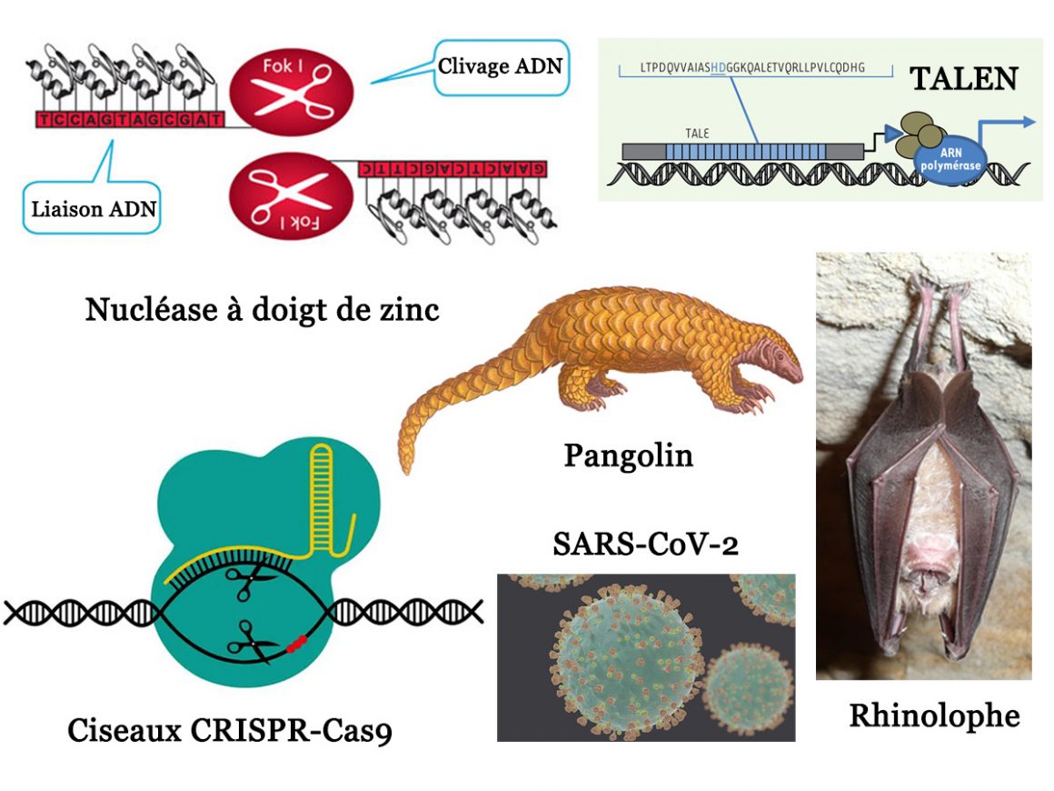 18•De la nature et de l’artifice 18•De la nature et de l’artifice