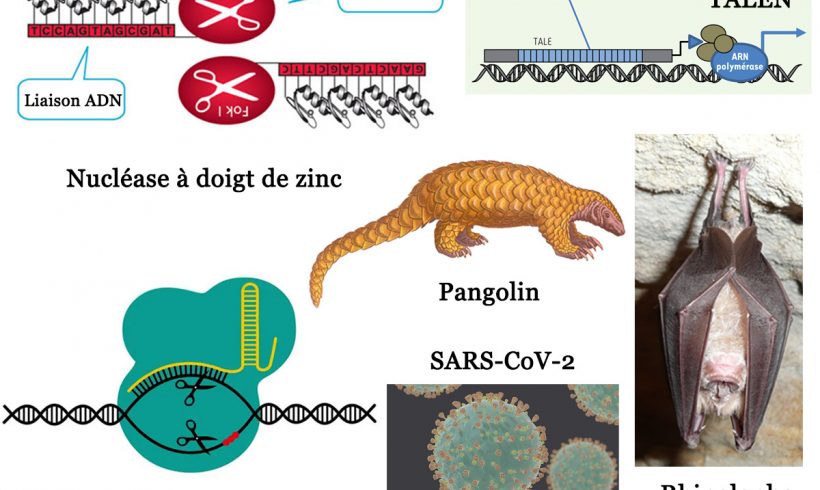 18•De la nature et de l’artifice 18•De la nature et de l’artifice