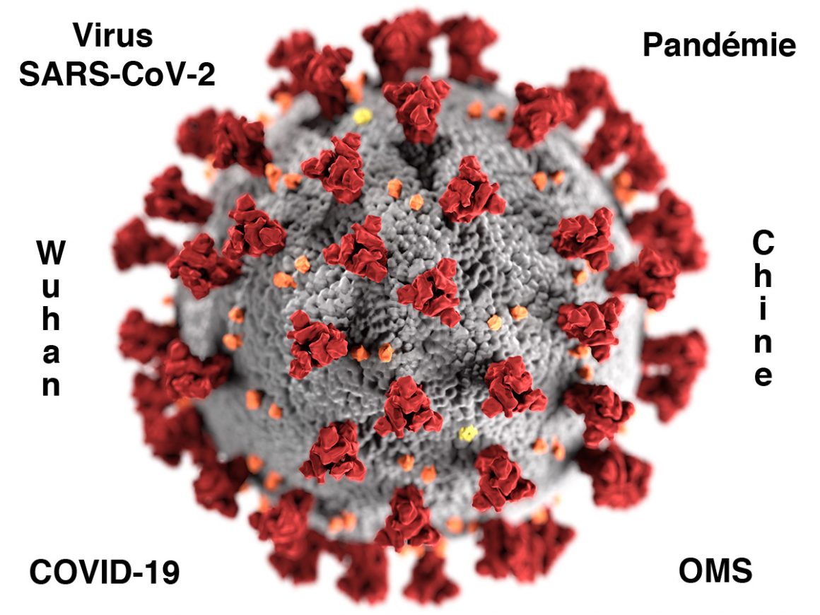 1•Vous avez dit COVID-19 ? 1•Vous avez dit COVID-19 ?