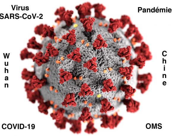 1•Vous avez dit COVID-19 ?
