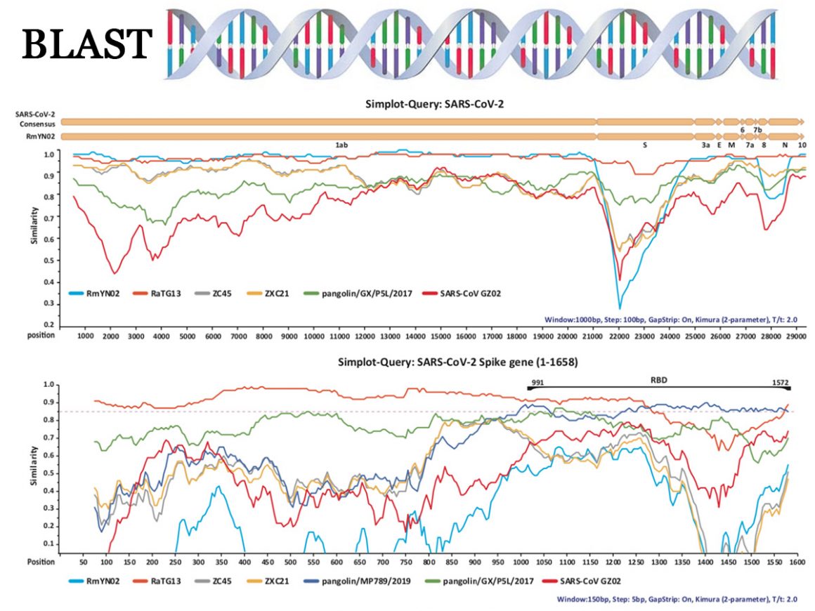 20•Gödel, chauves-souris, pangolins et virus