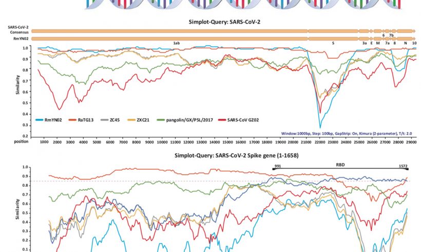 20•Gödel, chauves-souris, pangolins et virus