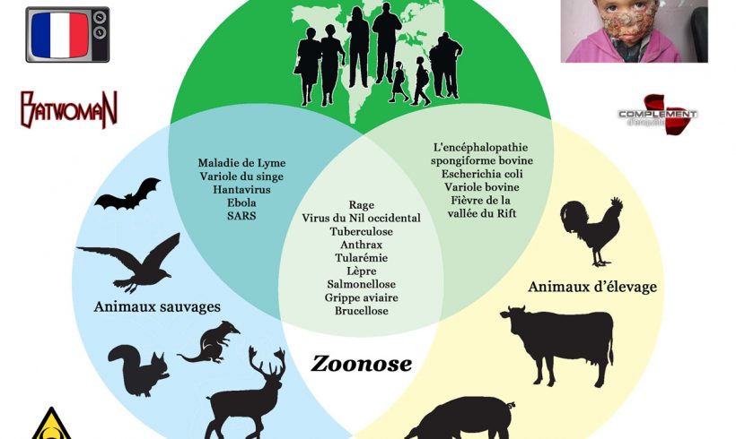21•La zoonose 21•La zoonose