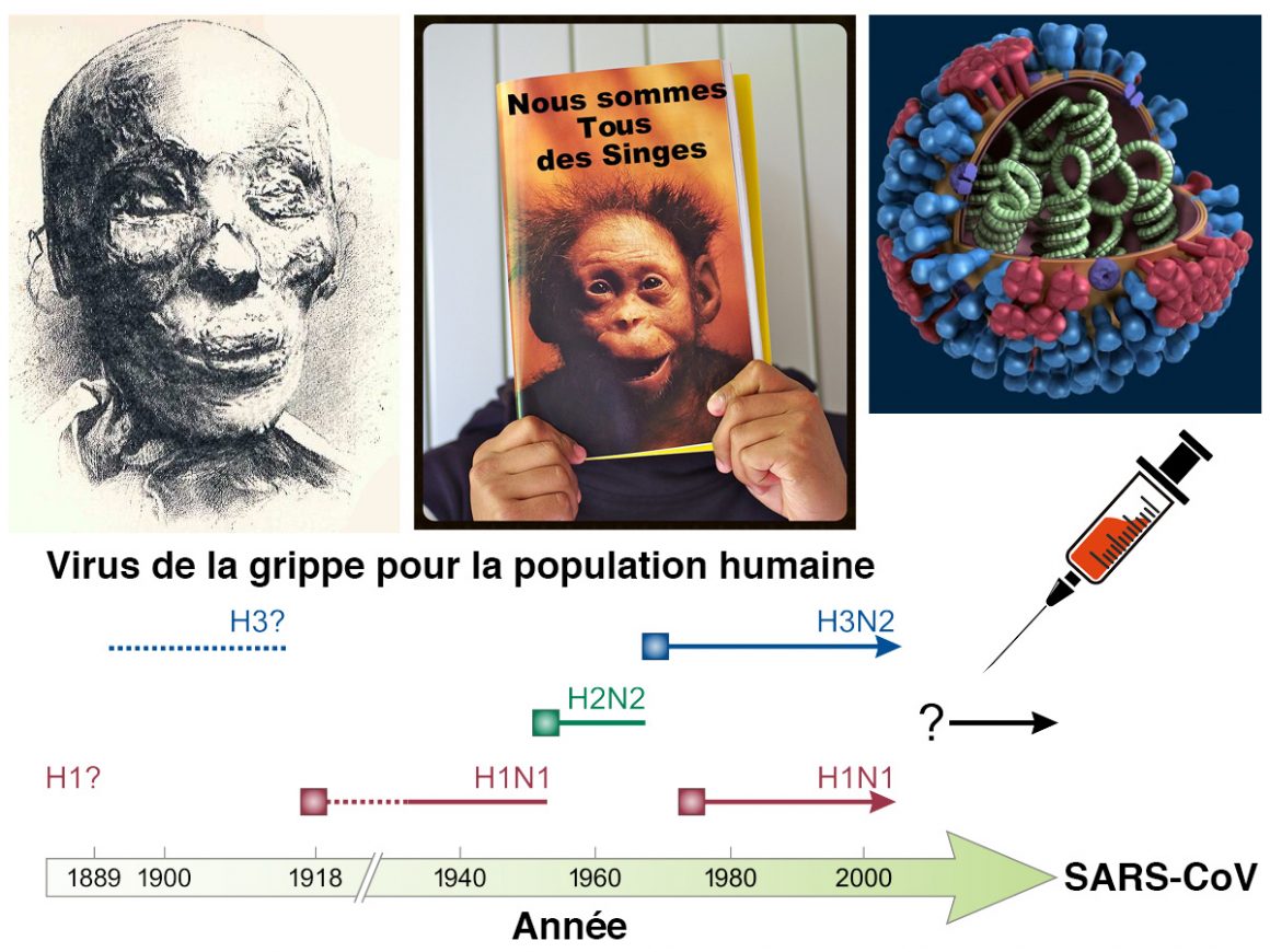 27•La momie, le racisme et le virus 27•La momie, le racisme et le virus