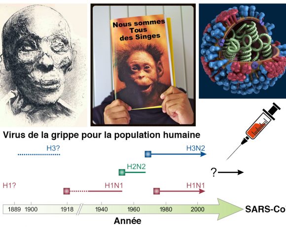27•La momie, le racisme et le virus 27•La momie, le racisme et le virus