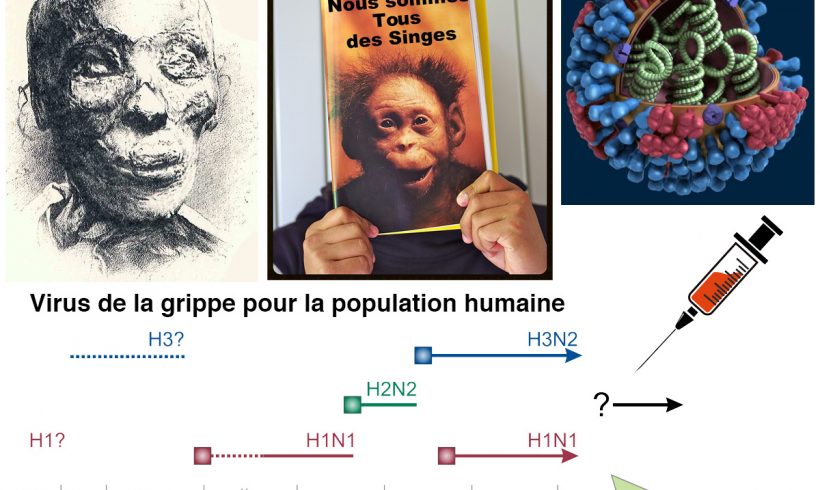 27•La momie, le racisme et le virus 27•La momie, le racisme et le virus