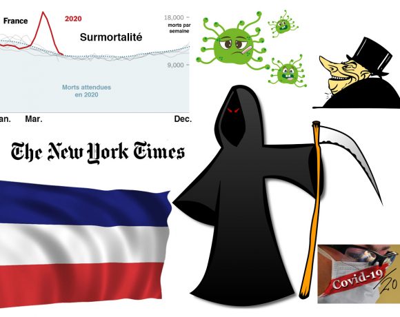 28•Létalité, mortalité et surmortalité 28•Létalité, mortalité et surmortalité