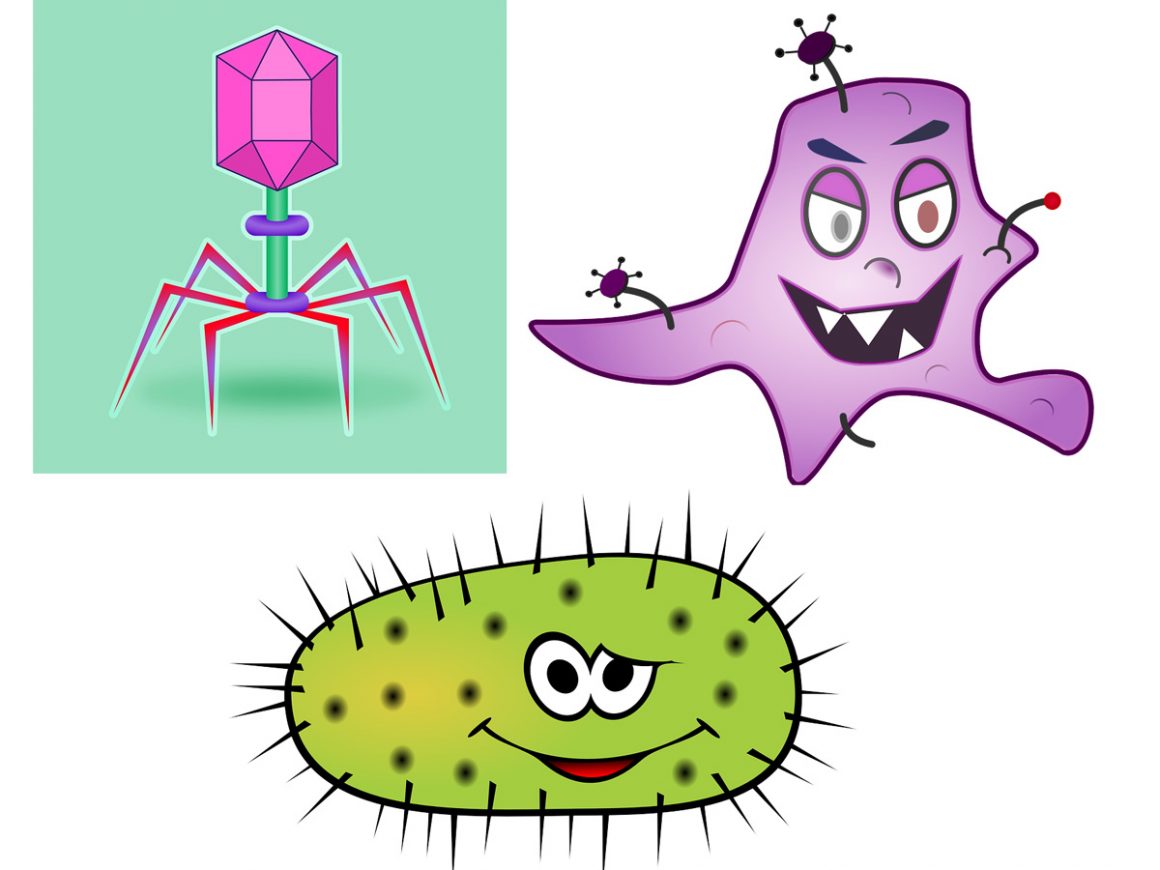 2•Vous avez dit infection ?