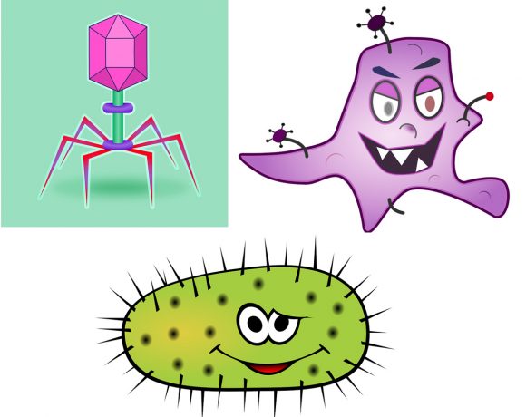 2•Vous avez dit infection ?