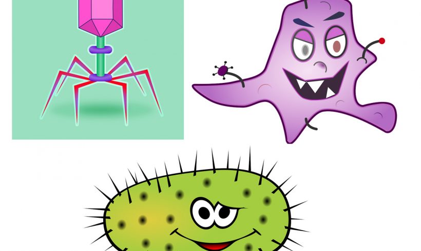 2•Vous avez dit infection ? 2•Vous avez dit infection ?