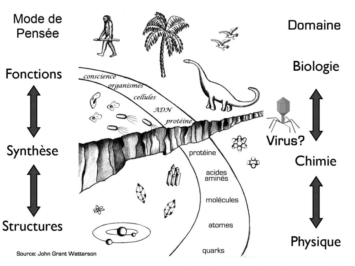 3•Les virus sont-ils des êtres vivants?