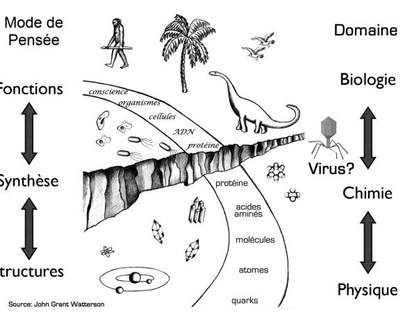 3•Les virus sont-ils des êtres vivants?