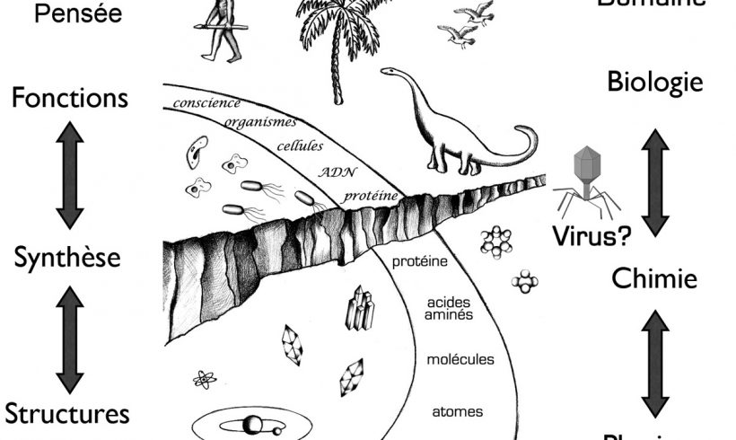 3•Les virus sont-ils des êtres vivants? 3•Les virus sont-ils des êtres vivants?