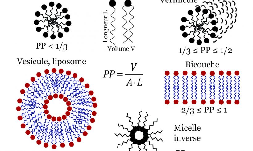 5•Les gestes «barrière»