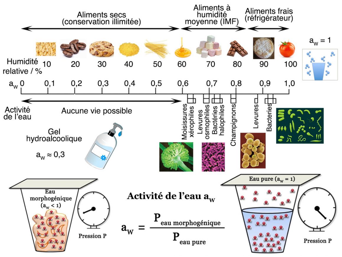 6•Le gel hydro-alcoolique
