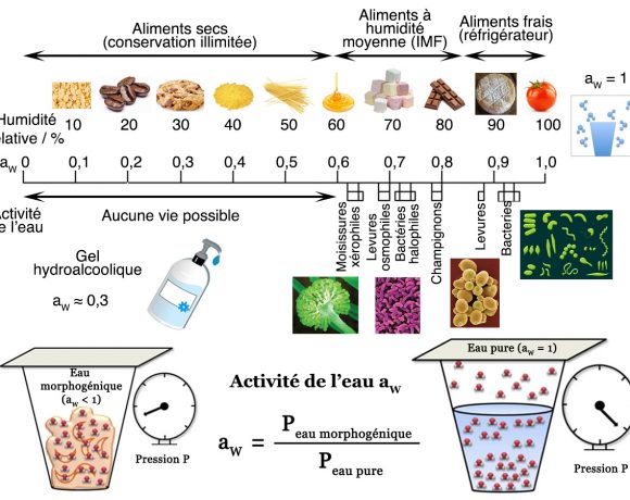 6•Le gel hydro-alcoolique