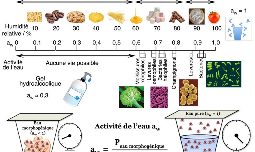 6•Le gel hydro-alcoolique