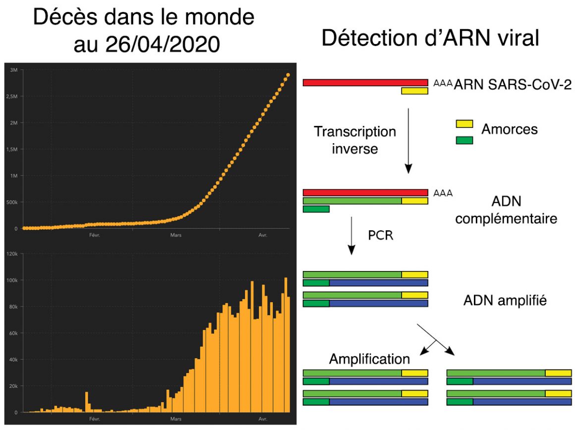 7•Statistiques et tests