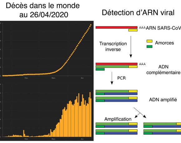 7•Statistiques et tests