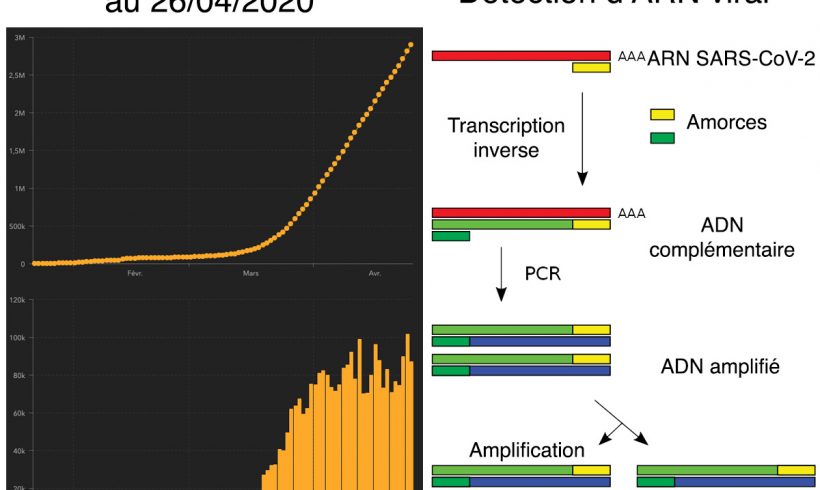 7•Statistiques et tests