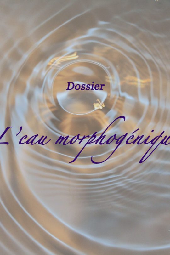 Dossier : l'Eau Morphogénique