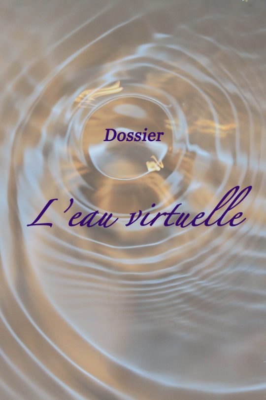 Dossier : l'eau virtuelle