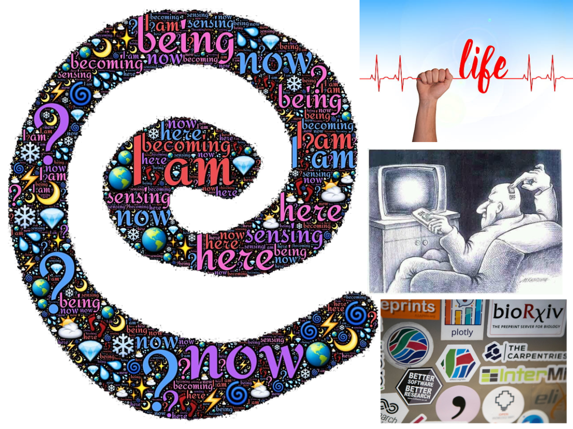 52•Des oreilles, des yeux et des preprints