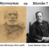 61•Béchamp ou Pasteur ?