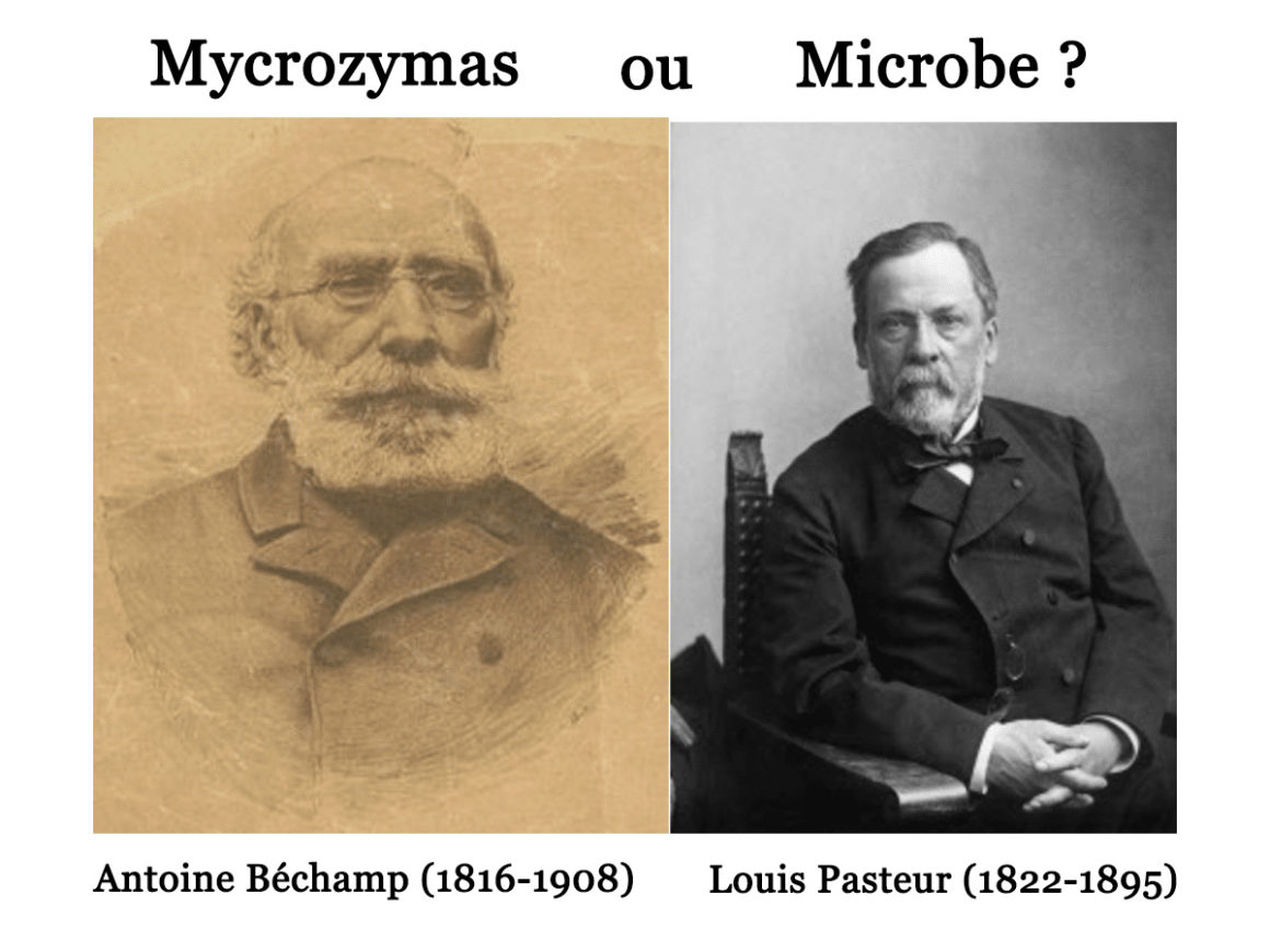 61•Béchamp ou Pasteur ? 61•Béchamp ou Pasteur ?
