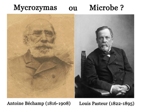 61•Béchamp ou Pasteur ? 61•Béchamp ou Pasteur ?