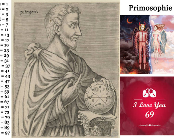 65•La primosophie 65•La primosophie