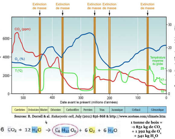 73•Mensonges, vérité et survie 73•Mensonges, vérité et survie