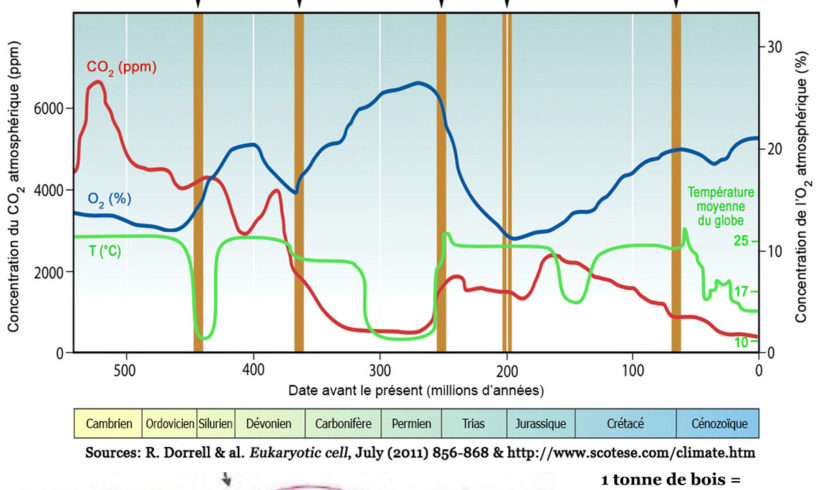73•Mensonges, vérité et survie